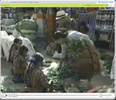 CAFTA VNR market scene