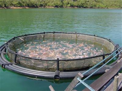 Fish farm