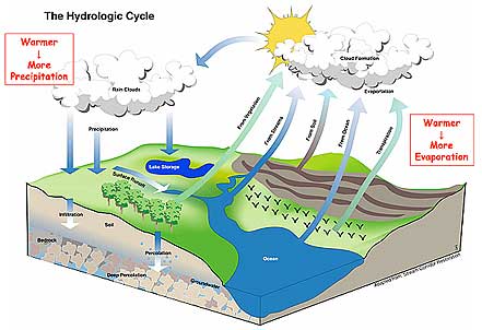 Hydrologic Cycle