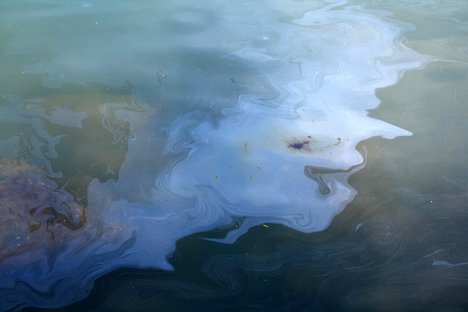 Oil slick on the Gulf of Mexico