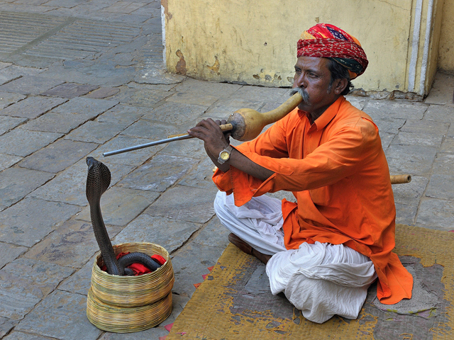 Snake charmer