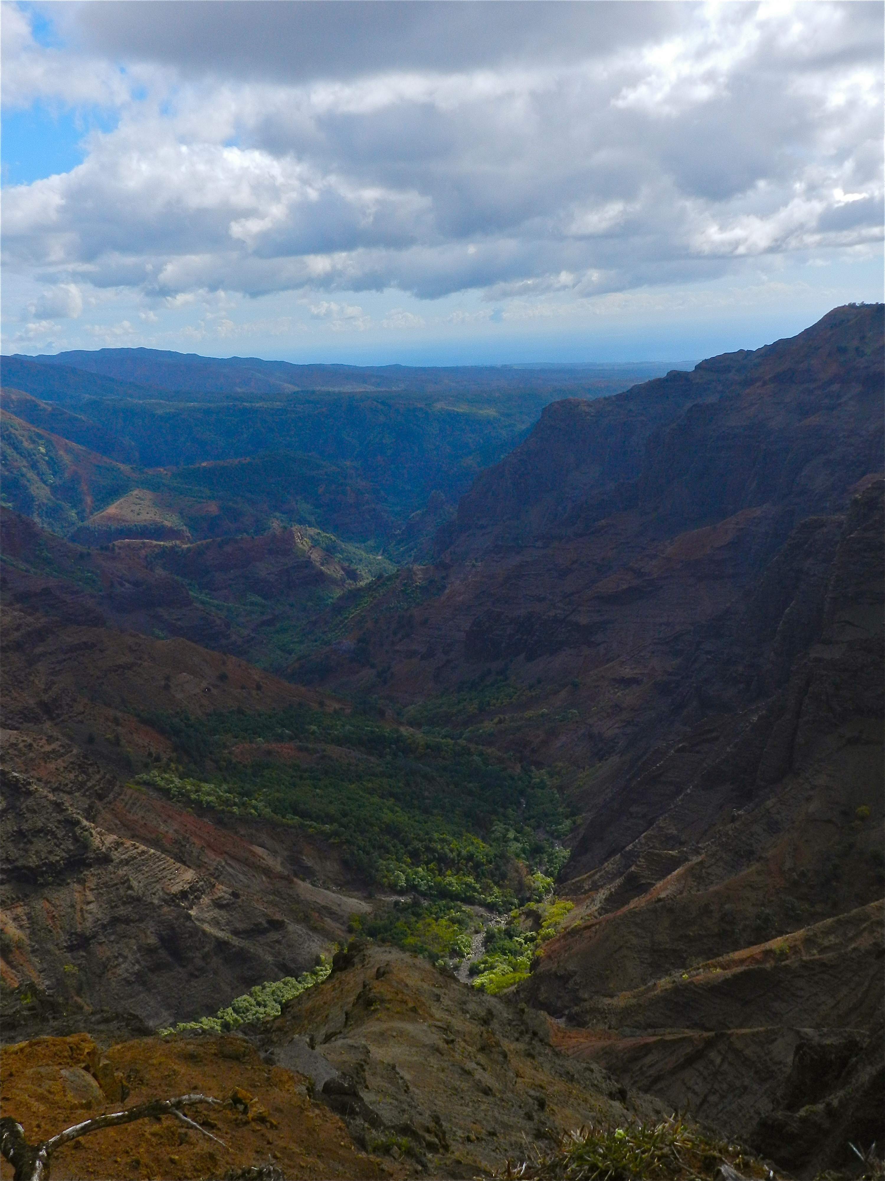 Waimea Canyon (Photo: Elsa Flores Almaraz)